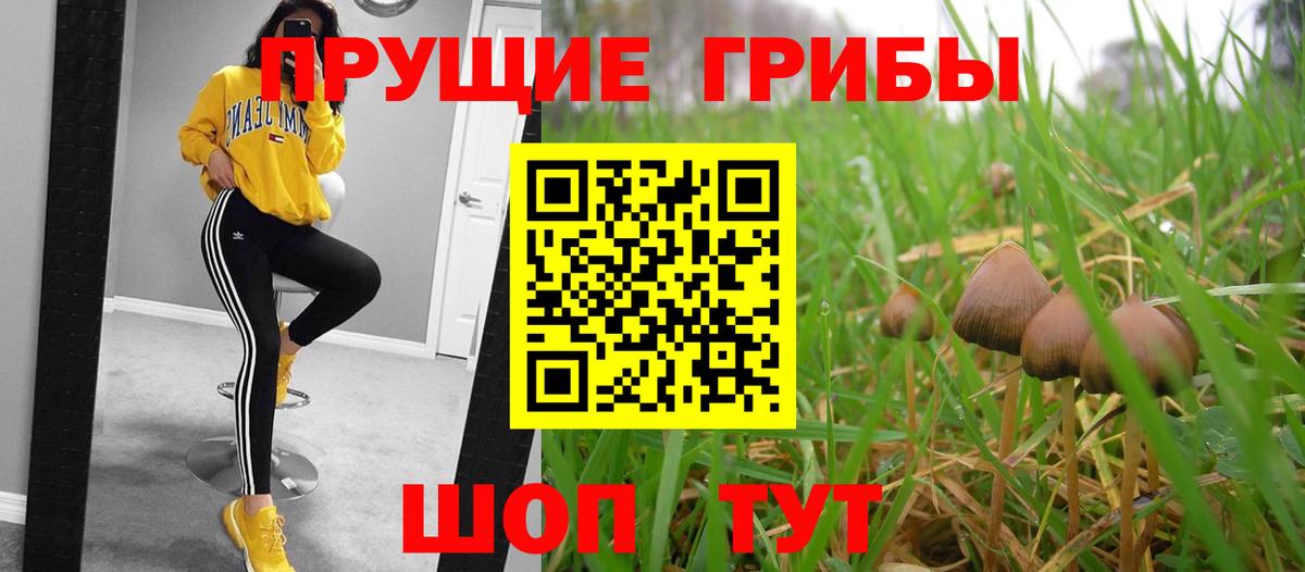 Псилоцибиновые грибы GOLDEN TEACHER Северодвинск